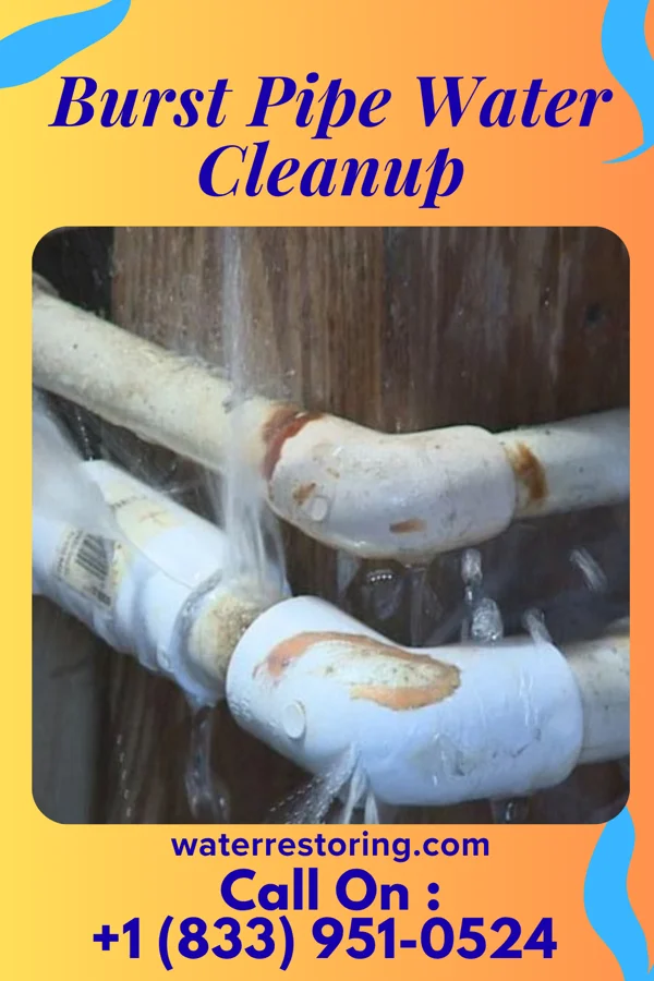 Burst Pipe Water Cleanup in Blythedale, MO