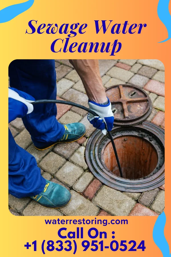 Sewage Water Cleanup in Blythedale, MO