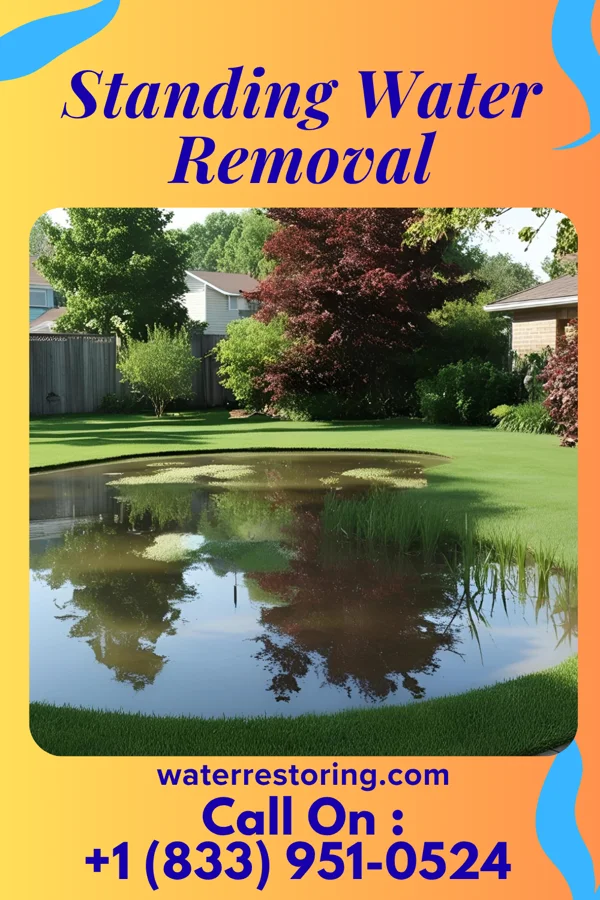 Standing Water Removal in Blythedale, MO